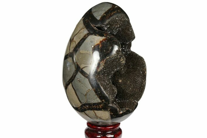 Septarian Dragon Egg Geode - Black Crystals #120923